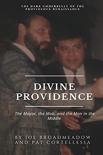 Beispielbild fr Divine Providence zum Verkauf von Ergodebooks
