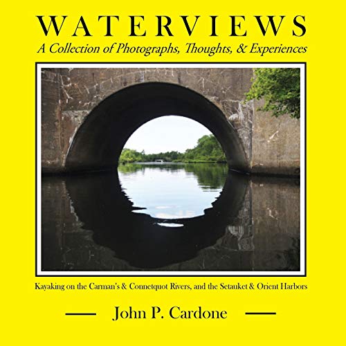 Stock image for Waterviews for sale by GreatBookPrices