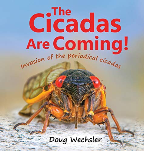 Beispielbild fr The Cicadas Are Coming!: Invasion of the Periodical Cicadas zum Verkauf von Books Unplugged
