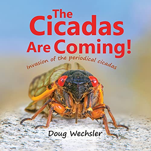 Beispielbild fr The Cicadas Are Coming!: Invasion of the Periodical Cicadas! zum Verkauf von Big River Books