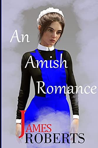 9781737028802: An Amish Romance