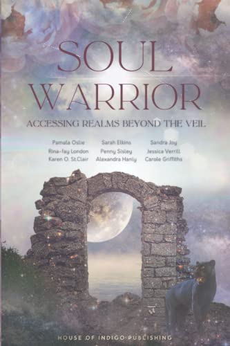 Imagen de archivo de Soul Warrior: Accessing Realms Beyond the Veil a la venta por Kona Bay Books