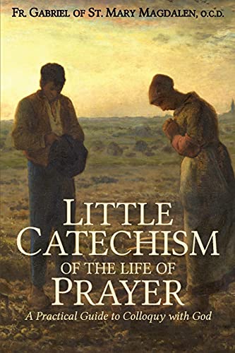 Imagen de archivo de Little Catechism of the Life of Prayer a la venta por GreatBookPrices