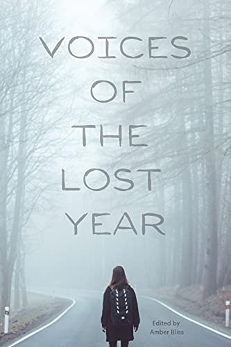 Stock image for Voices of the Lost Year for sale by GreatBookPrices