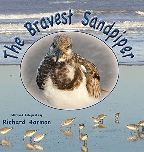 Stock image for The Bravest Sandpiper for sale by SecondSale
