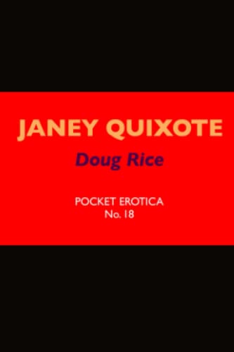 9781737371182: Janey Quixote