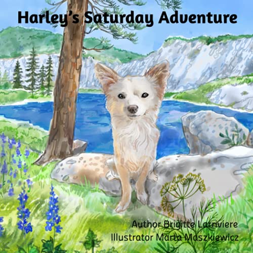 Stock image for Harley's Saturday Adventure! for sale by PBShop.store US