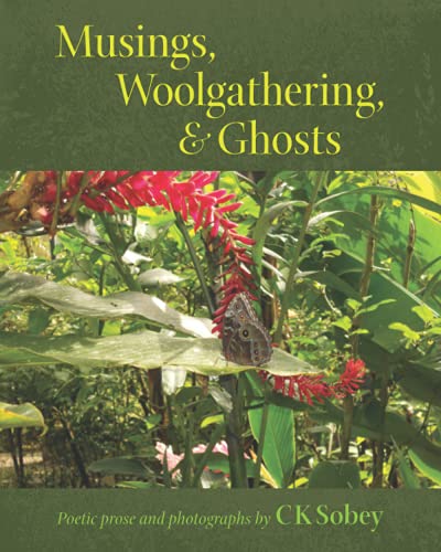 Stock image for Musings, Woolgathering, & Ghosts : Poetic and Visual Offerings from My Life to Yours for sale by Better World Books