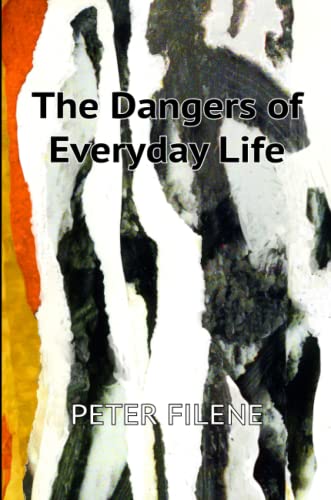 9781737533610: Dangers of Everyday Life