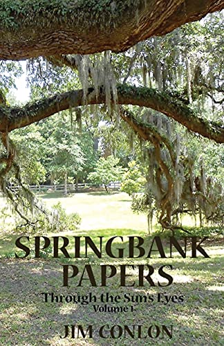 Beispielbild fr Springbank Papers: Through the Sun's Eyes zum Verkauf von ThriftBooks-Atlanta