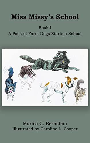 Stock image for Miss Missy's School for sale by GreatBookPrices