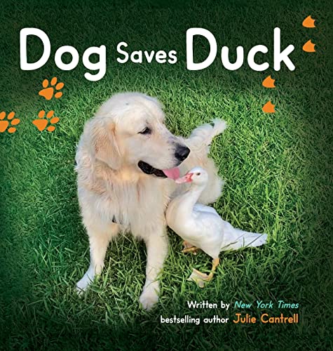 Beispielbild fr Dog Saves Duck zum Verkauf von WorldofBooks