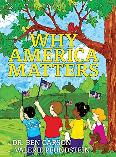 Beispielbild fr Why America Matters zum Verkauf von Half Price Books Inc.