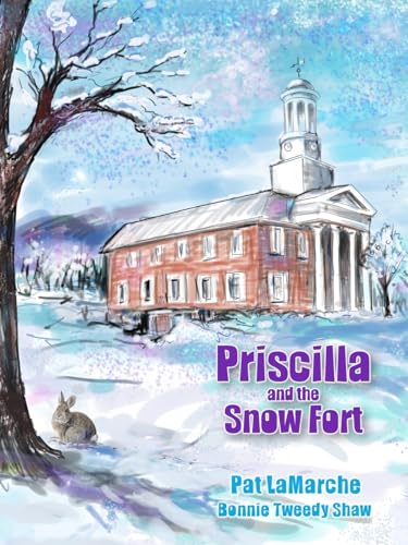 Stock image for Priscilla and the Snow Fort for sale by GreatBookPrices