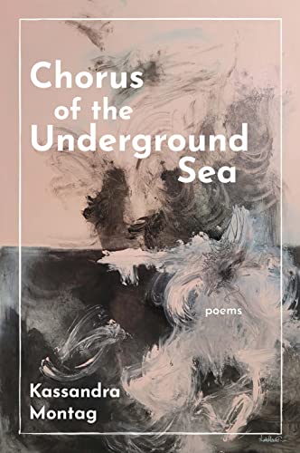 Beispielbild fr Chorus of the Underground Sea zum Verkauf von Half Price Books Inc.