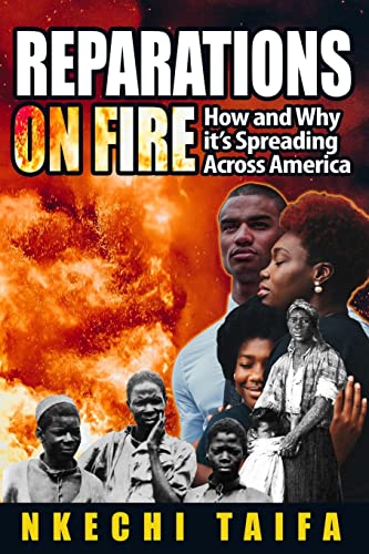 Imagen de archivo de Reparations On Fire: How and Why It's Spreading Across America a la venta por Irish Booksellers
