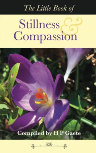 9781739121907: THE LITTLE BOOK OF STILLNESS AND COMPASSION