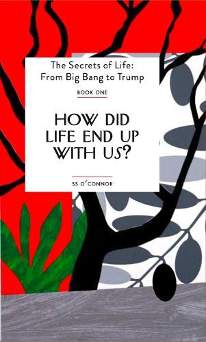 Stock image for How Did Life End Up With Us? for sale by GreatBookPrices