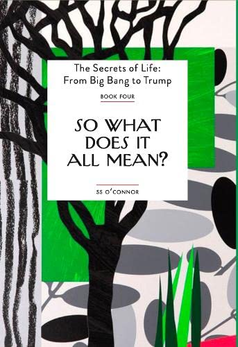 Stock image for So What Does It All Mean? for sale by GreatBookPrices