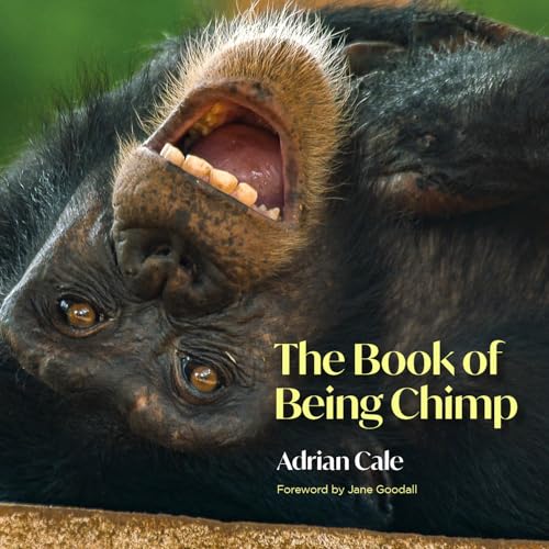 Stock image for The Book of Being Chimp (Hardcover) for sale by Grand Eagle Retail