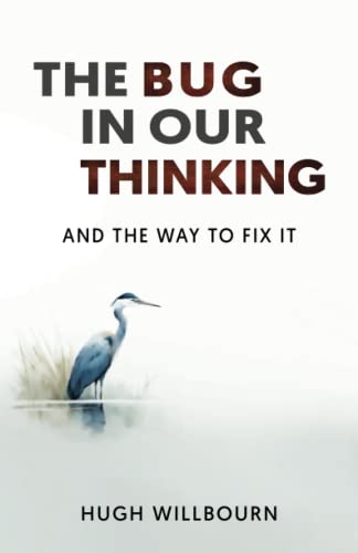 Imagen de archivo de The bug in our thinking: and the way to fix it a la venta por WorldofBooks