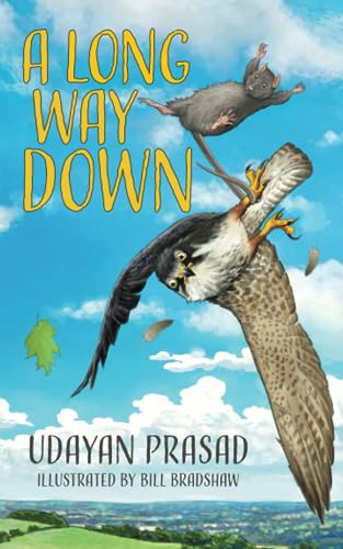 Stock image for A Long Way Down for sale by Book Deals