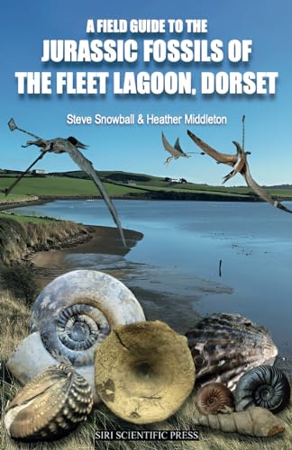 Stock image for A FIELD GUIDE TO THE JURASSIC FOSSILS OF THE FLEET LAGOON, DORSET for sale by Book Deals