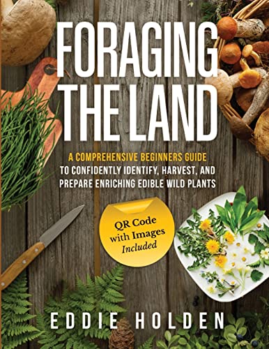 Stock image for Foraging the Land: A Comprehensive Beginners Guide to Confidently Identify, Harvest and Prepare Enriching Edible Wild Plants for sale by Giant Giant