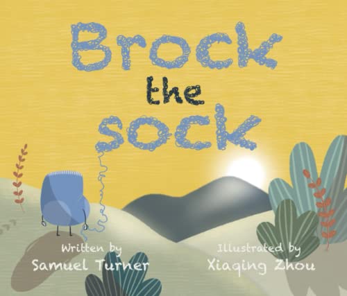 9781739689704: Brock the sock