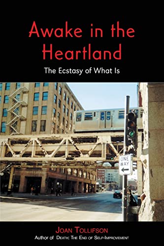 9781739724900: Awake in the Heartland: The Ecstasy of What Is