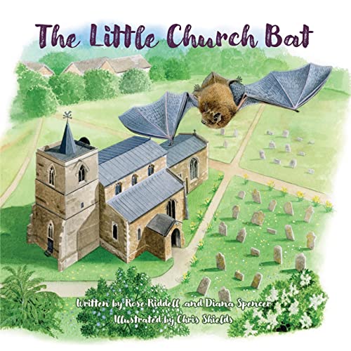 Imagen de archivo de The Little Church Bat a la venta por GreatBookPrices