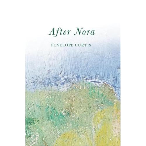 Stock image for After Nora for sale by GreatBookPrices