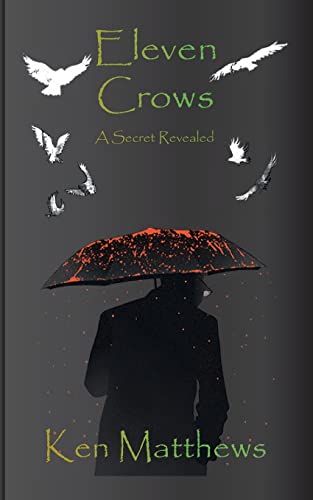 9781739791414: Eleven Crows: A Secret Revealed