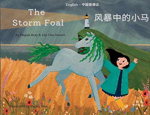 9781739944254: The Storm Foal: 风暴中的小马 (Mandarin Chinese Edition)