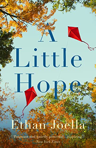 Stock image for A Little Hope for sale by WorldofBooks