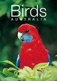 Beispielbild fr Discovering Australian Birds Gift Book zum Verkauf von WorldofBooks