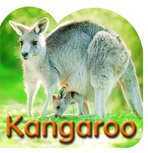 Beispielbild fr Kangaroo zum Verkauf von Wonder Book