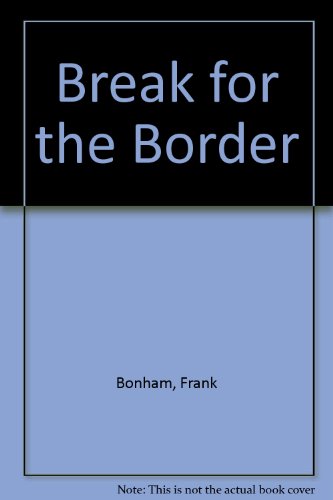 9781740300056: Break for the Border