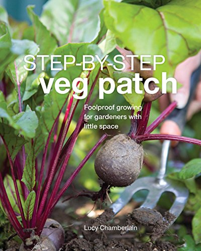 Imagen de archivo de Step-by-Step Veg Patch: Foolproof Growing For Gardeners With Little Space a la venta por Marlowes Books and Music