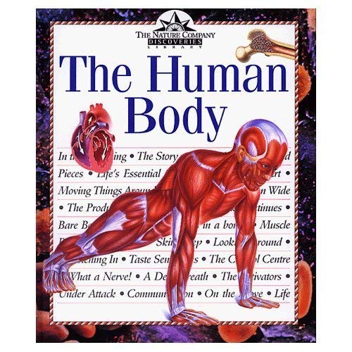 Beispielbild fr The Human Body zum Verkauf von AwesomeBooks