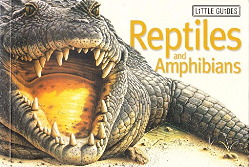 Beispielbild fr Reptiles and Amphibians zum Verkauf von Wonder Book