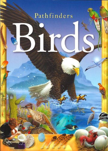 Beispielbild fr Birds (Pathfinders) zum Verkauf von AwesomeBooks