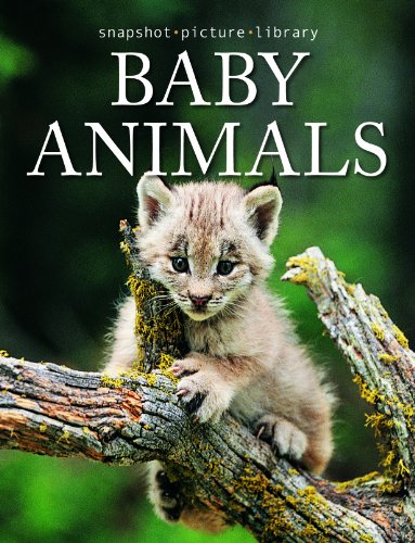 9781740896375: Snapshot Picture Library Baby Animals by Weldon Owen (2007) Hardcover