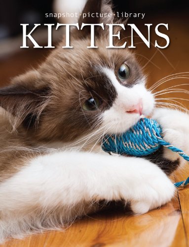 Imagen de archivo de Kittens (Snapshot Picture Library) by Weldon Owen (2007) Hardcover a la venta por Gulf Coast Books