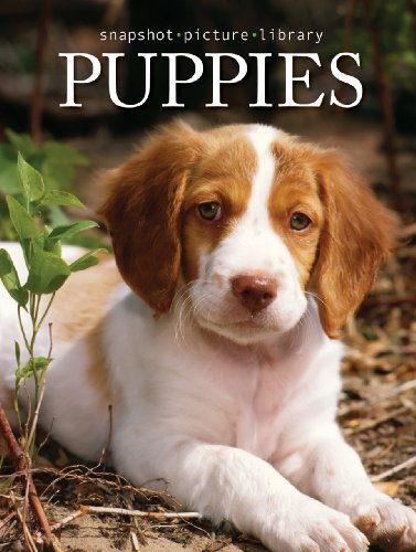 Stock image for Snapshot Picture Library Puppies by Sonia Vallabh (2007-01-01) for sale by SecondSale