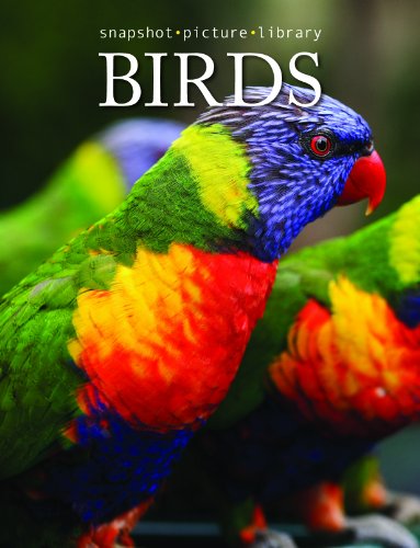 Stock image for Snapshot Picture Library Birds for sale by Goodwill Books