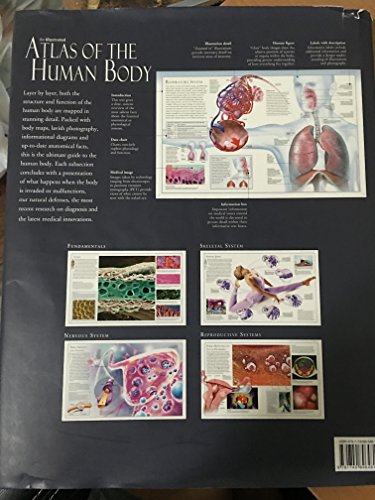 Imagen de archivo de Illustrated Atlas of the Human Body a la venta por SecondSale