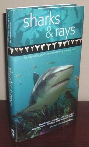 Stock image for A Guide to Sharks & Rays for sale by Take Five Books