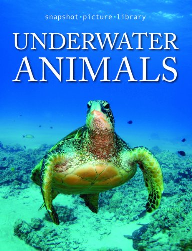 9781740897488: Snapshot Picture Library Underwater Animals