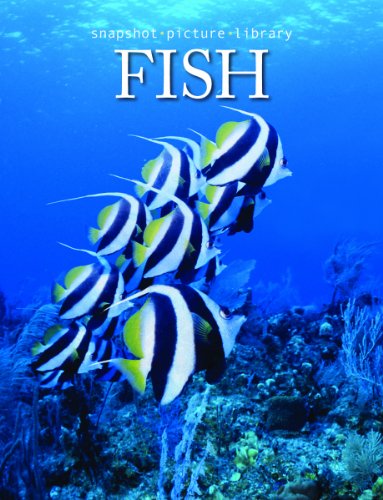 Stock image for Snapshot Picture Library Fish by Weldon Owen (2008) Hardcover for sale by SecondSale